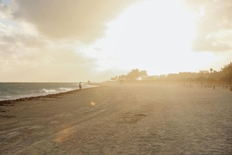 Bachelor of Compensation & Benefits