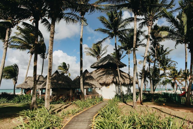 Bachelor of Performing Arts