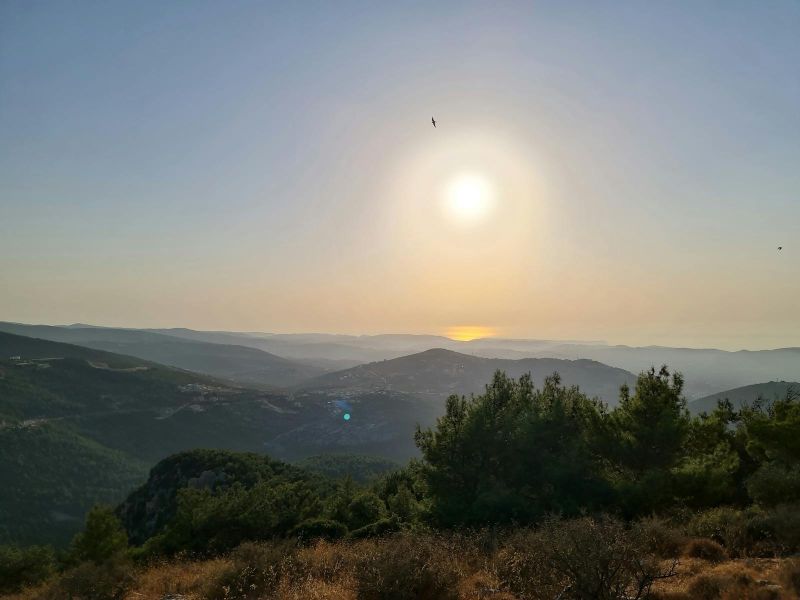 PhD in Leadership in Private Education