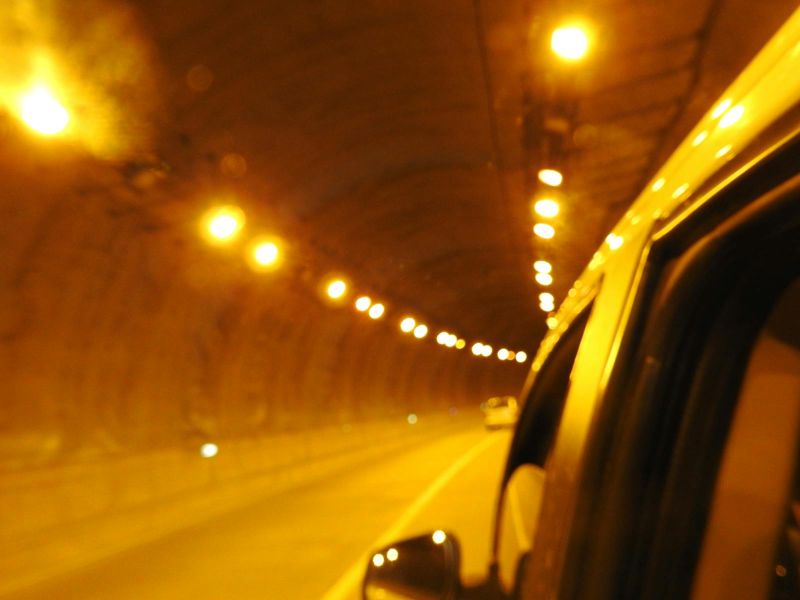 PhD in Political Science