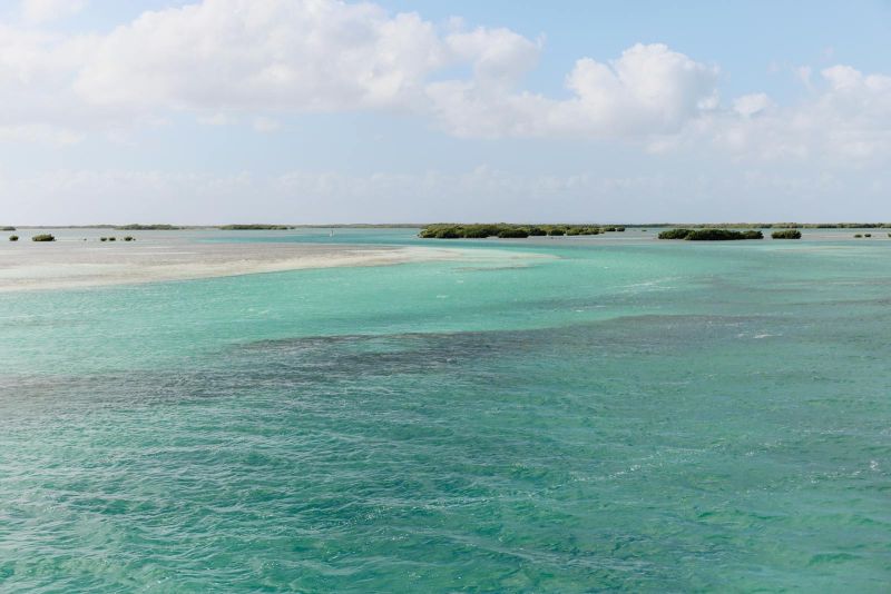 PhD in Gender Studies